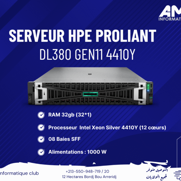 SERVEUR HPE PROLIANT DL380 G11 4410Y