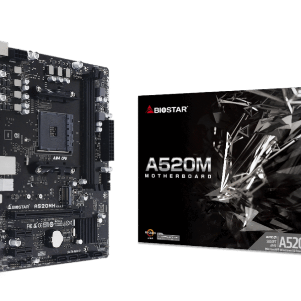 CARTE MERE BIOSTAR A520 M ( AVEC CONFIG )